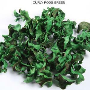 Curly pod busta 200 gr - verde scuro