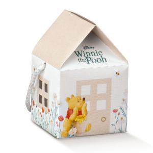 Casetta con cordini winnie pooh 55x55x50 mm - 5 pz