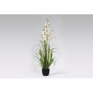 Pianta lantern flower grass cm 150 white