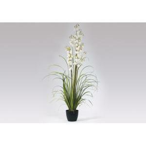 Pianta lantern flower grass cm 180 white