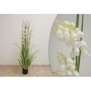 Pianta bellflower grass cm 145 - white