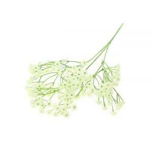 Gypsophila spray 135fiori cm.60 - white