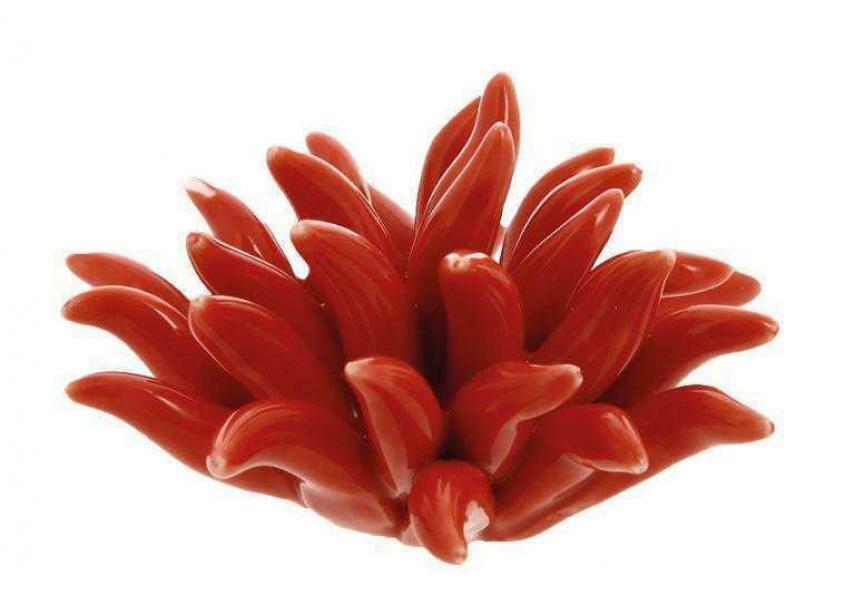 sud time corallo rosso in porcellana - 6 x 3 cm