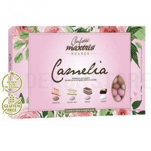 Confetti  nuance camelia - 1kg - rosa