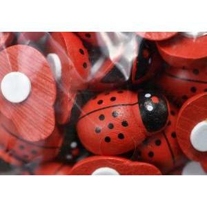 Coccinelle rosse in legno 25 mm con biadesivo - 40 pz